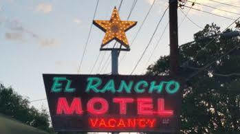 Trees Motel
