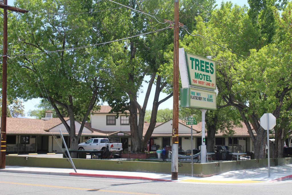 Trees 3* Bishop