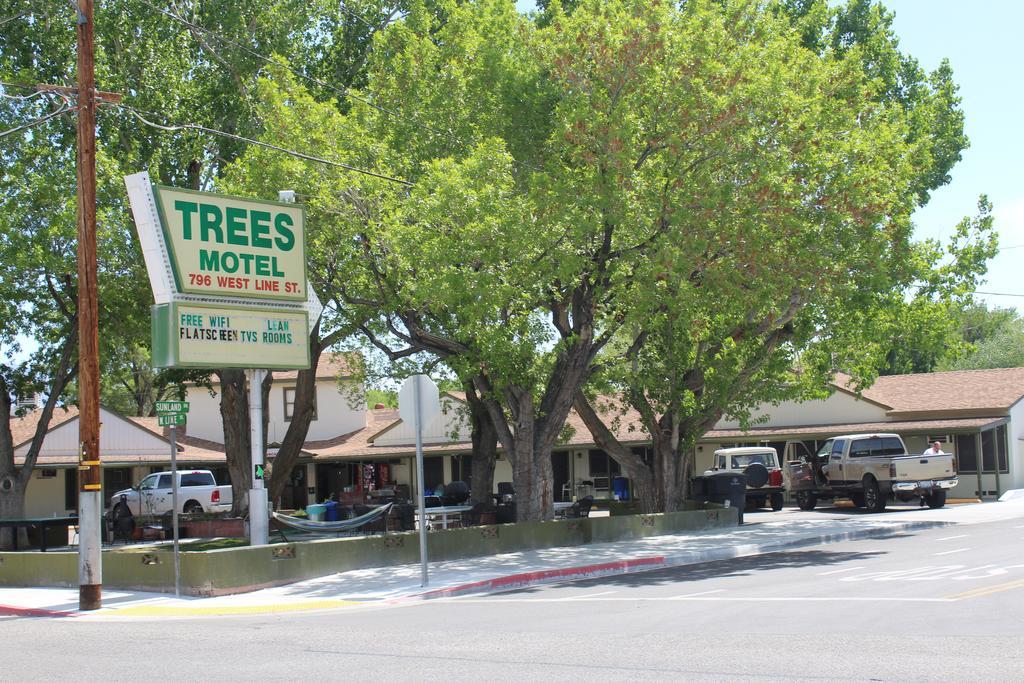 Trees 3*