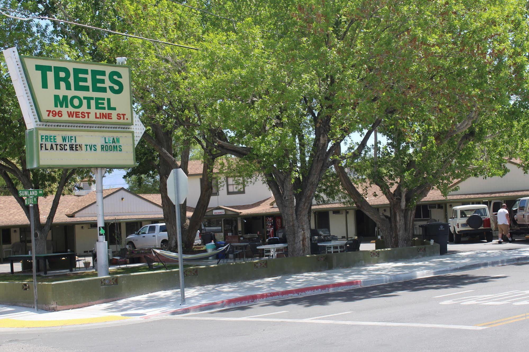 Trees Bishop